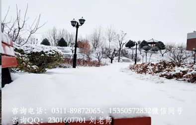 石家庄同仁医学院雪后校园美景