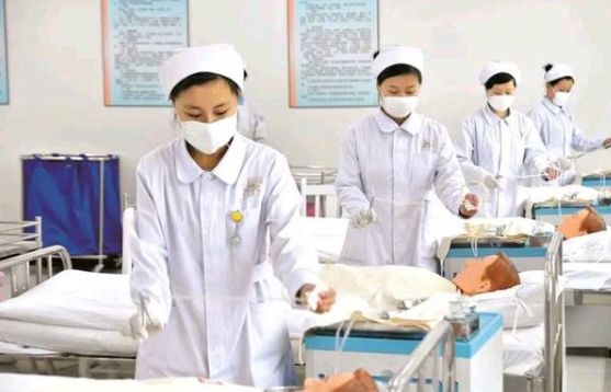 护理专业和学期教育专业哪个更适合女生？