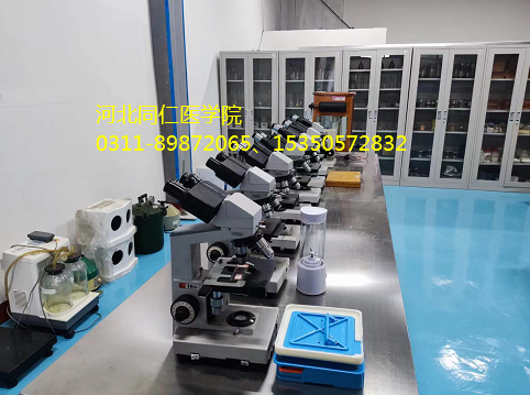 中考成绩200-300分这样可以学医吗？能学会吗？-河北同仁医学院