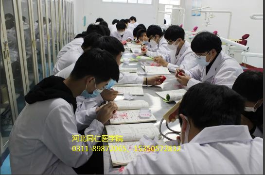 石家庄有国办中专学校吗？国办和民办有什么不一样？
