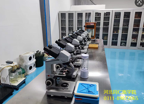 小女生学药剂专业好不好？有前景好就业吗？-河北同仁医学院