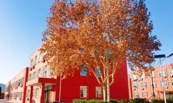 河北同仁医学中等专业学校学护理考大专需要多少分?